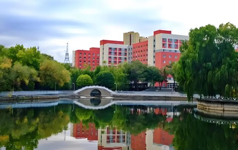 新疆大学分数线2025是多少