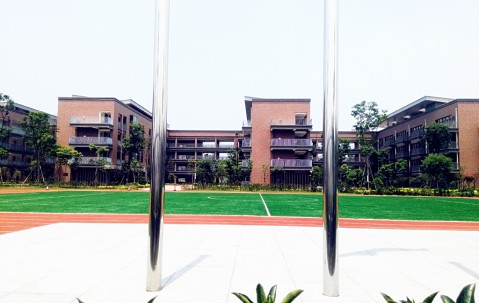 电子科技大学毕业证补办