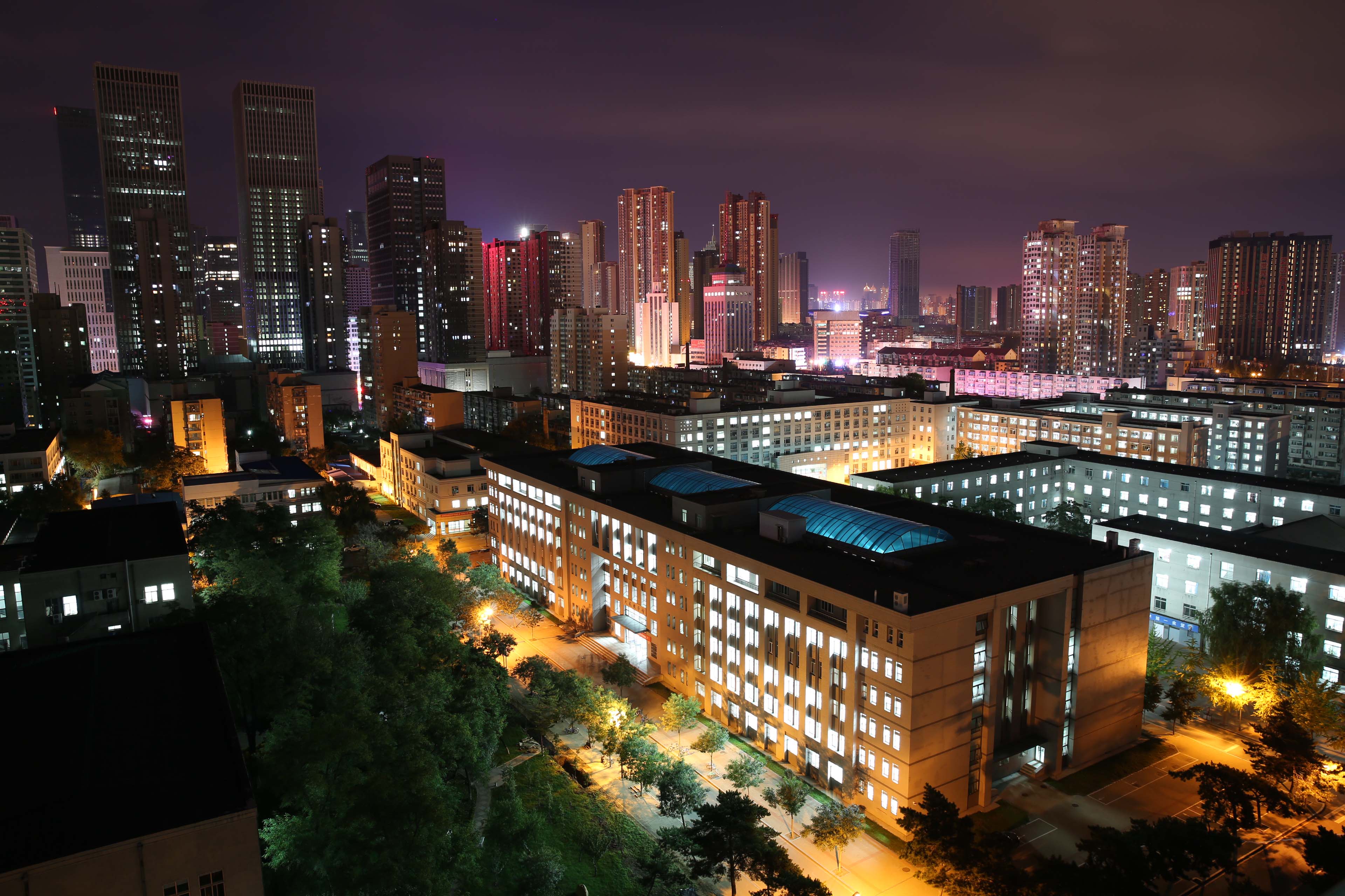 东北大学(东北大学排名)