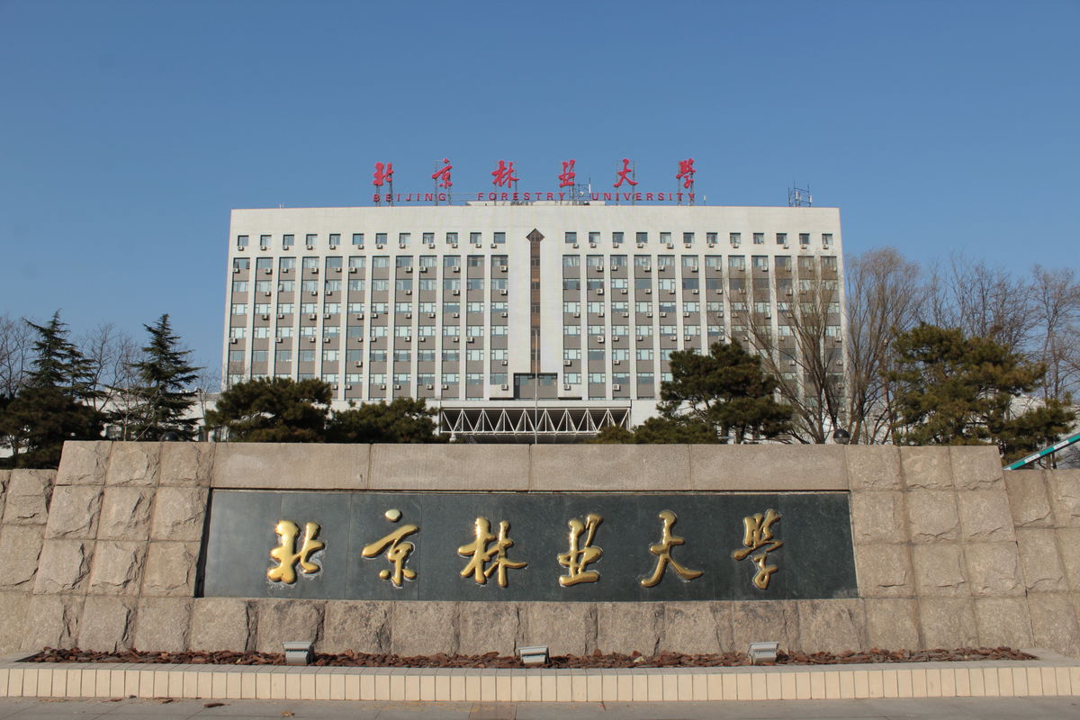 北京林业大学毕业证书