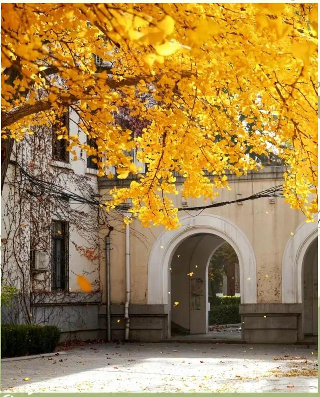 北京科技大学天津学院是公办还是民办