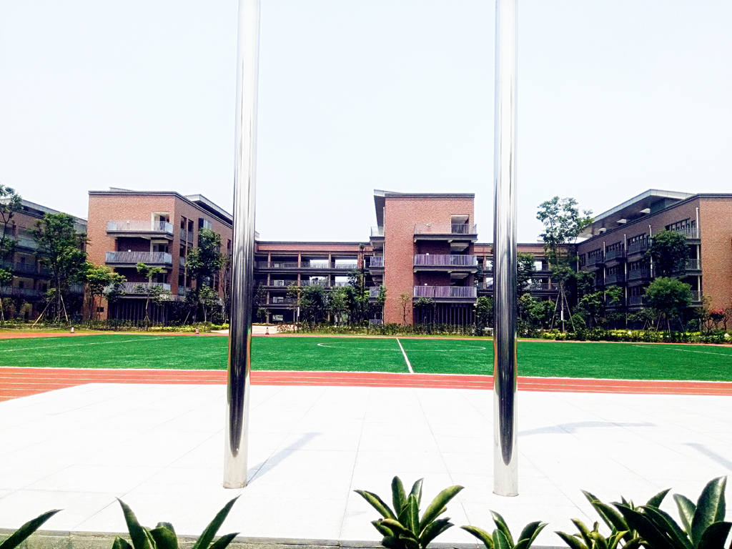 电子科技大学毕业证补办