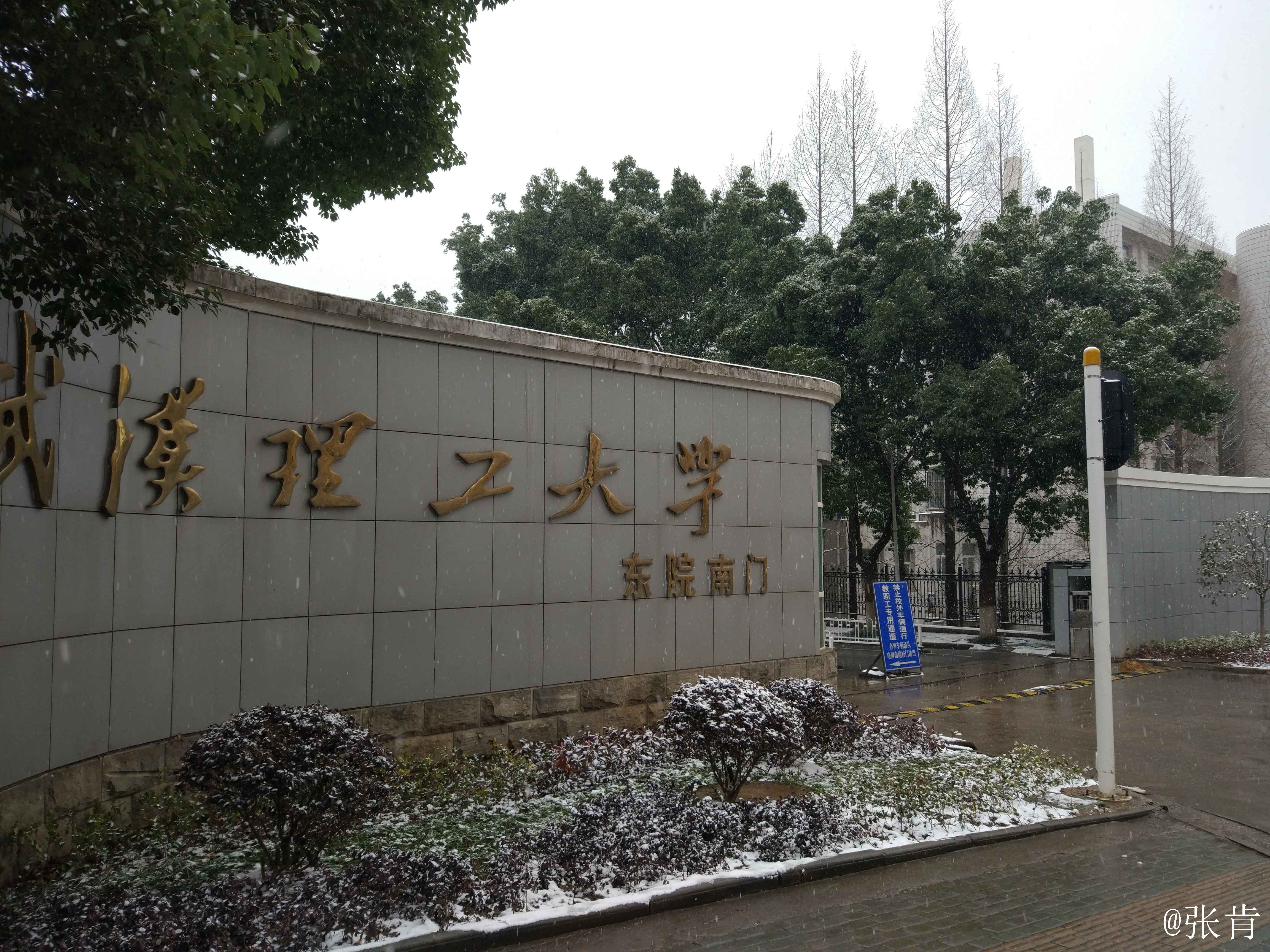 武汉理工学院毕业证
