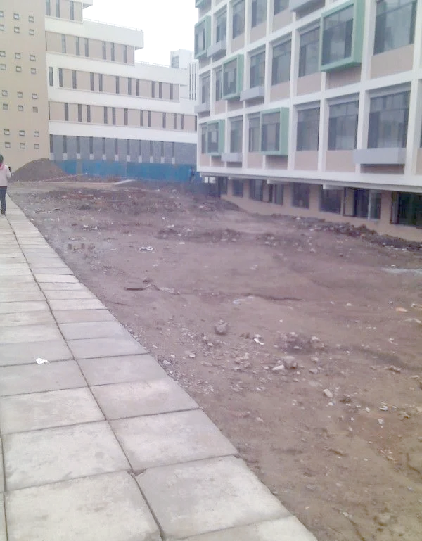 中央财经大学排名